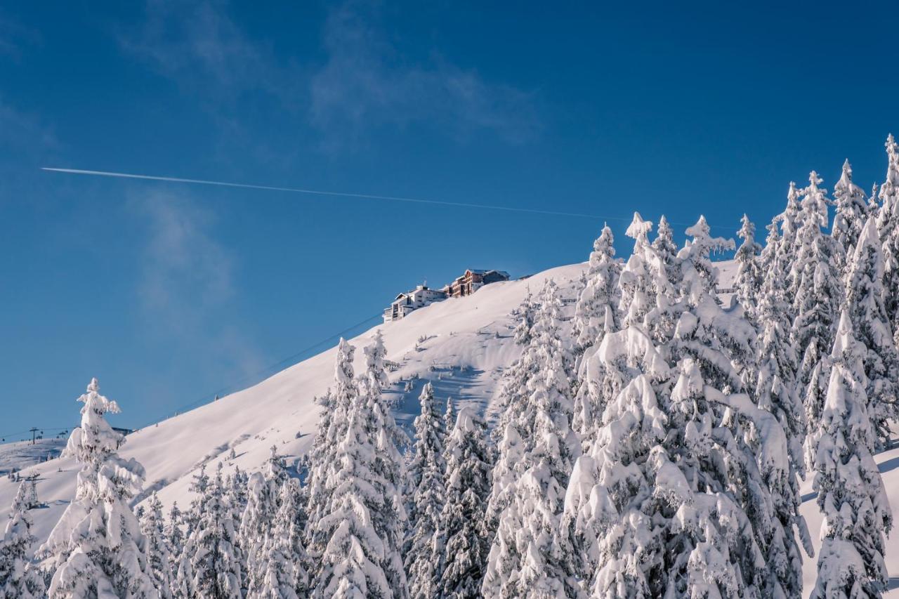 The Steinbock Lodge With Garden And Bbq Zell am See Esterno foto